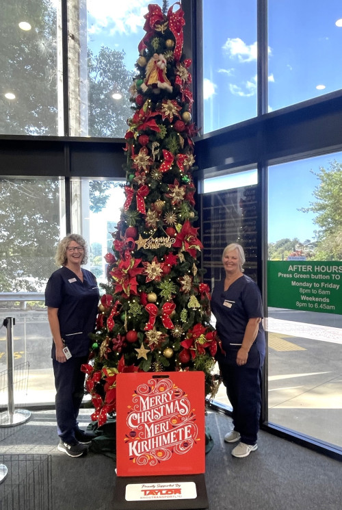 Chris Southerland ICU Registered & Outreach Speciality Nurse, and Raewyn Potaka ICU Registered Nurse stand by the newly donated Christmas tree at Tauranga Hospital.