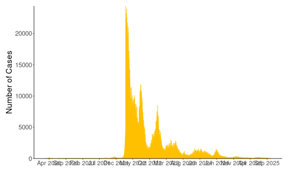 New COVID-19 cases reported each day