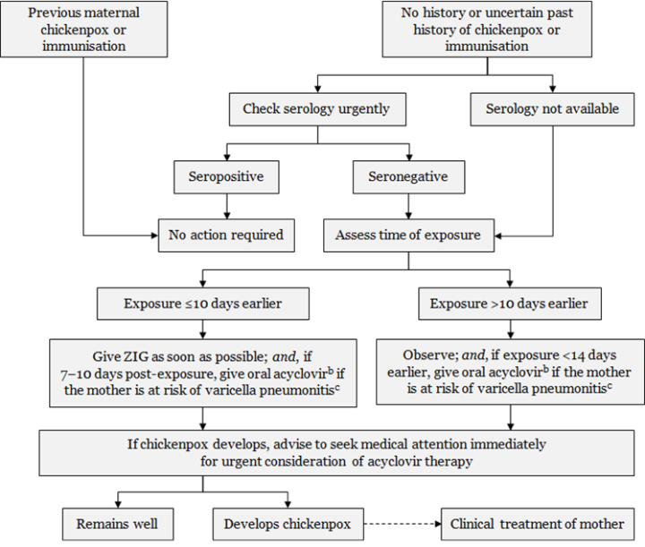 Figure 23.1: Management of pregnant women exposed to varicella or zoster