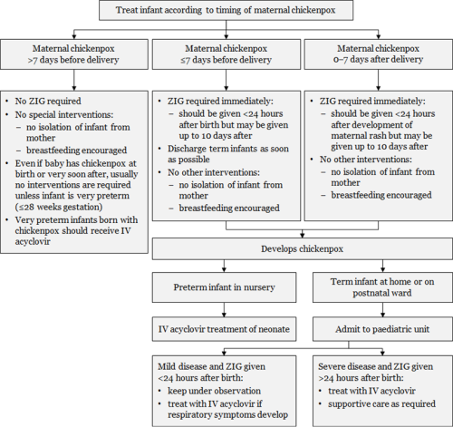 Figure 23.2: Management of infants from mothers with perinatal varicella or zoster