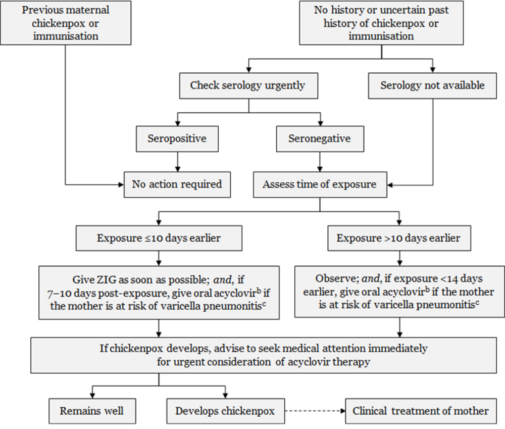 Figure 24.1: Management of pregnant women exposed to varicella or zoster