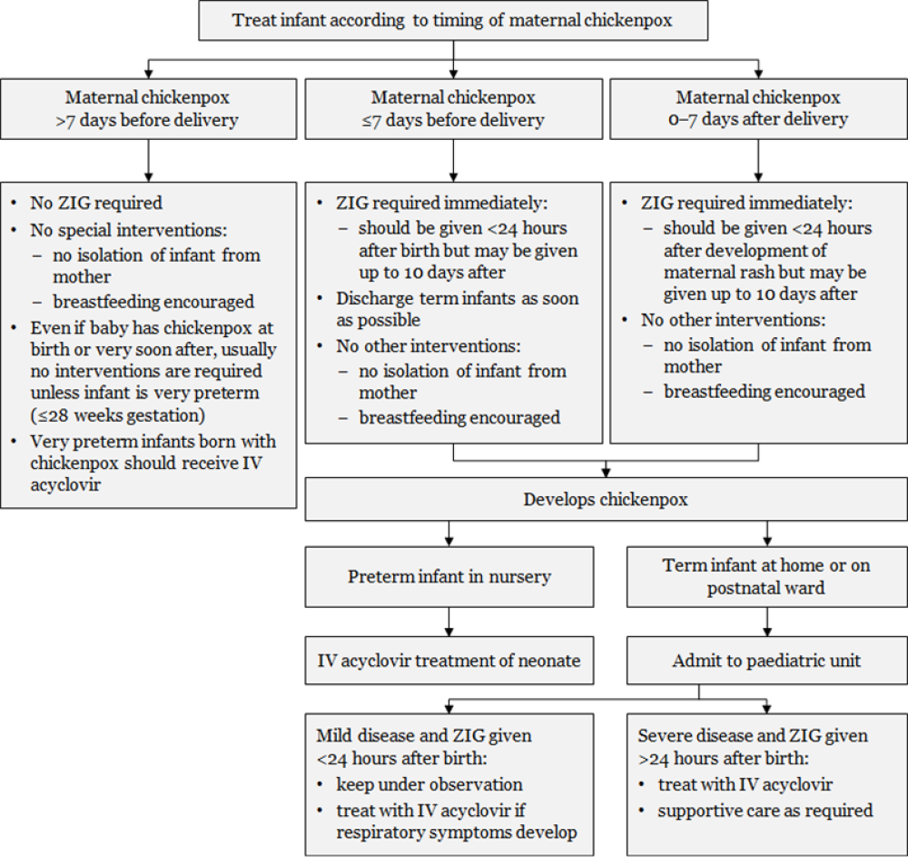 Figure 24.2: Management of infants from mothers with perinatal varicella or zoster