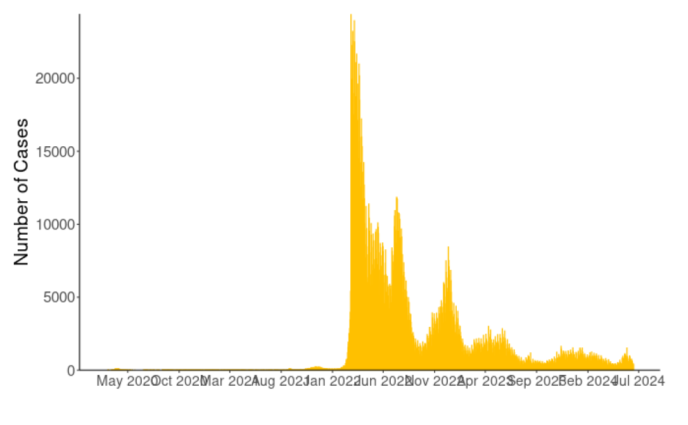 New COVID-19 cases reported each day