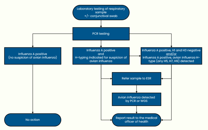 flowchart for Avian influenza and non-seasonal influenza (last updated 12 December 2024)